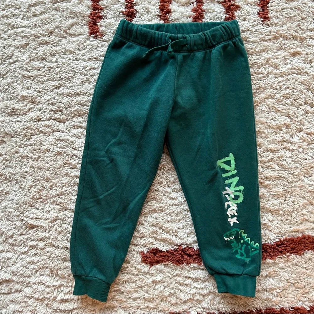 H&M Cool T-Rex Dino Graphic Cotton Terry Sweatpant Top Outfit Dark Green Size 4T